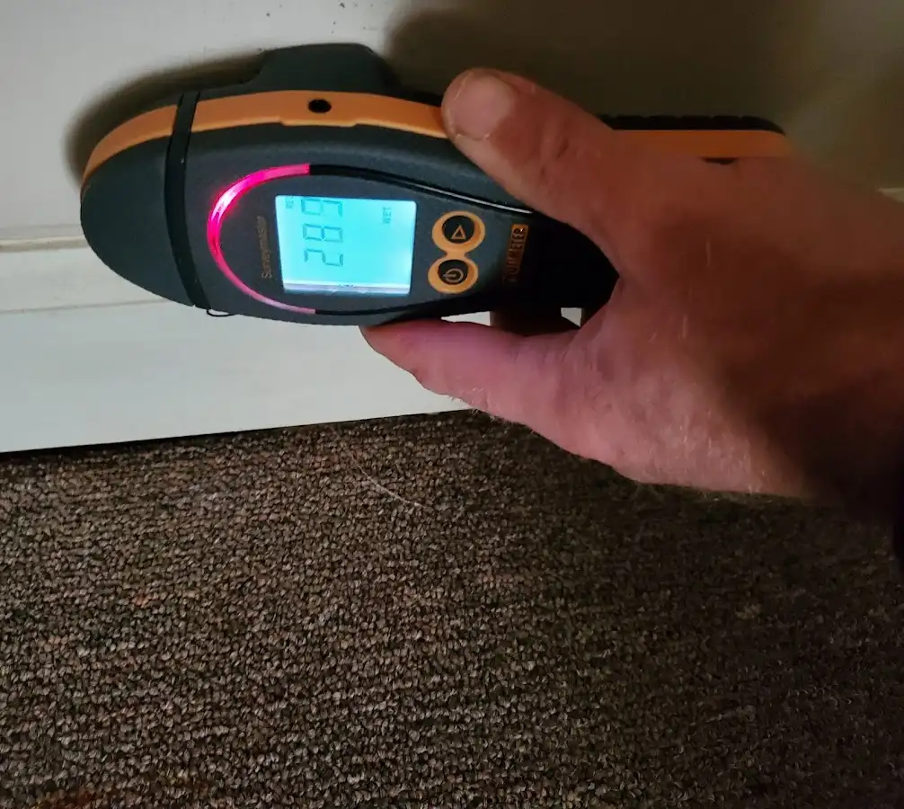Moisture detection at baseboard during Sewage Cleanup & Sanitation in Fair Oaks Ranch